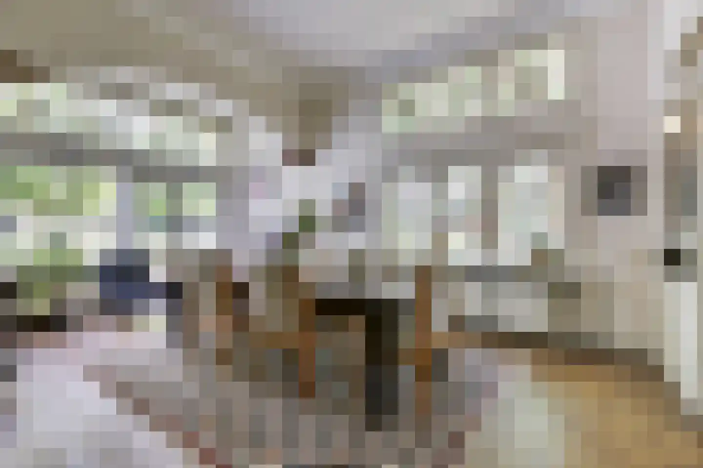 Arnhemsestraatweg 10 Velp thumbnail 21