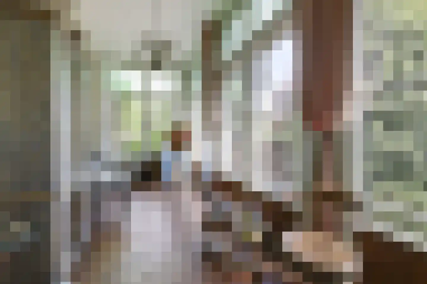 Arnhemsestraatweg 10 Velp thumbnail 24