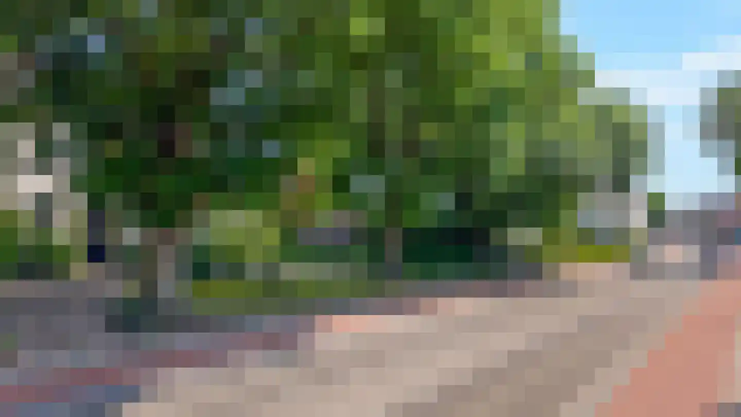 Arnhemsestraatweg 10 Velp thumbnail 34