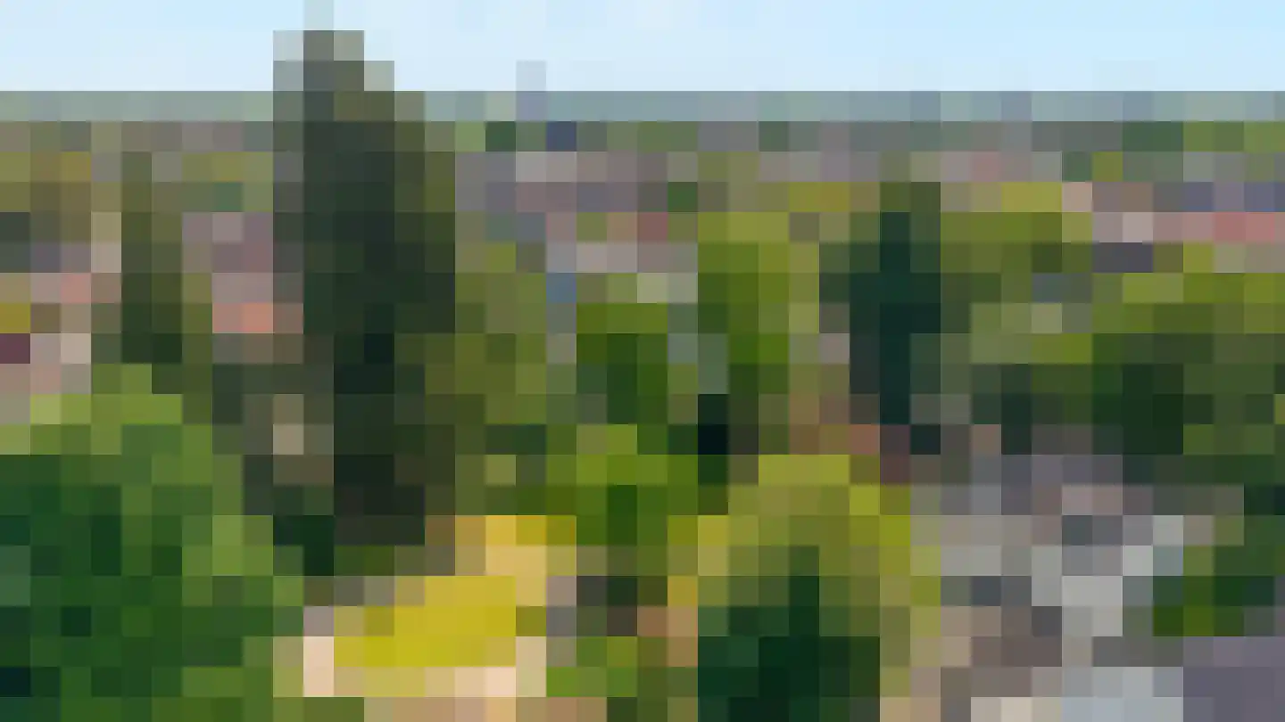 Arnhemsestraatweg 10 Velp thumbnail 36