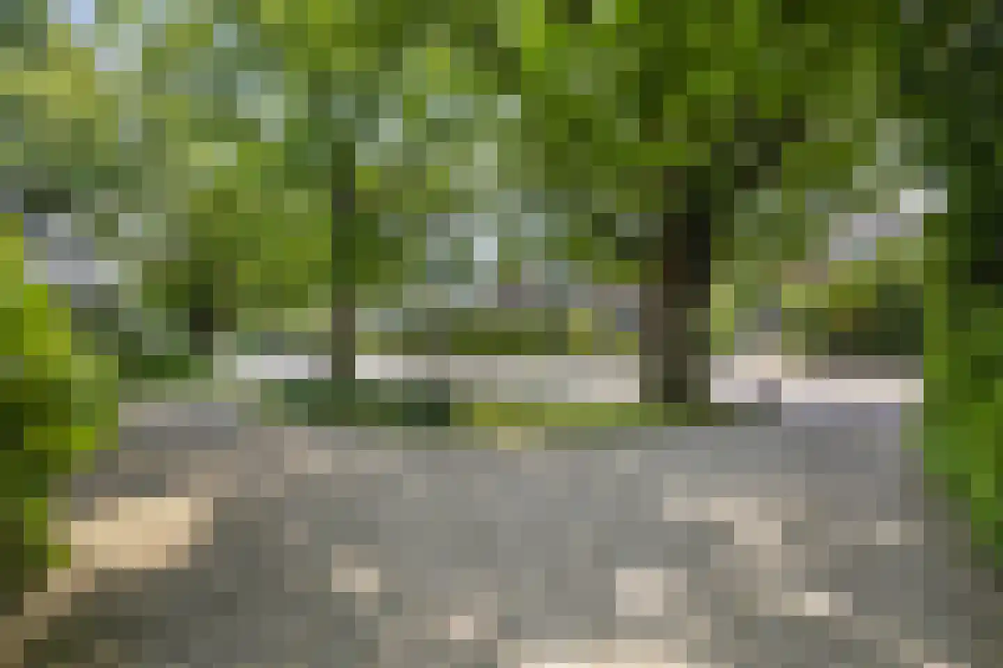 Arnhemsestraatweg 10 Velp thumbnail 37