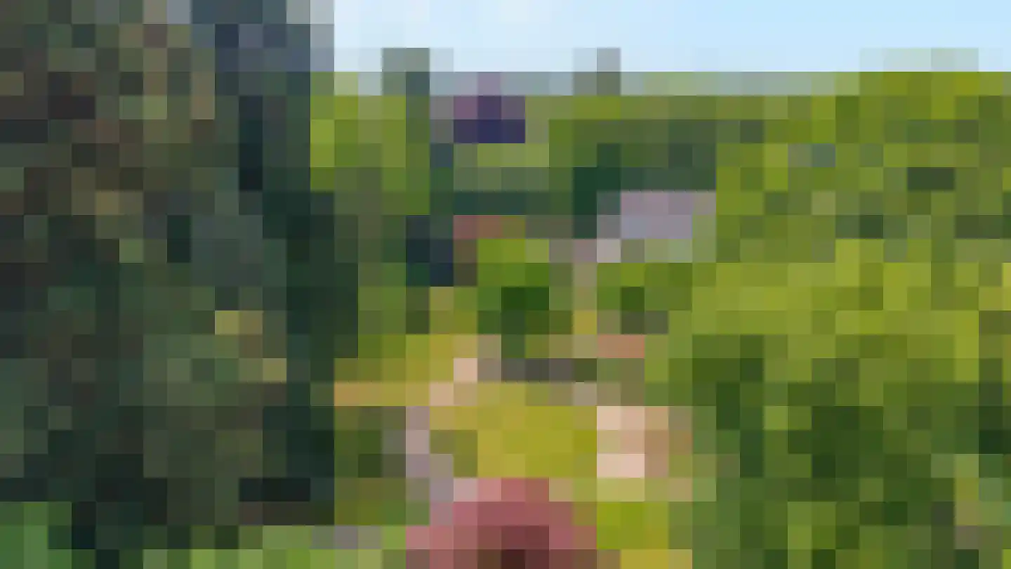 Arnhemsestraatweg 10 Velp thumbnail 4