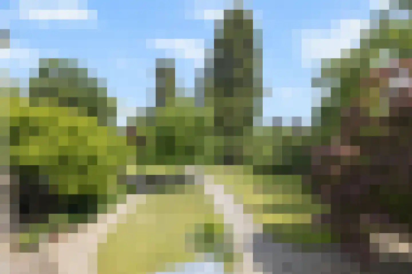 Arnhemsestraatweg 10 Velp thumbnail 49