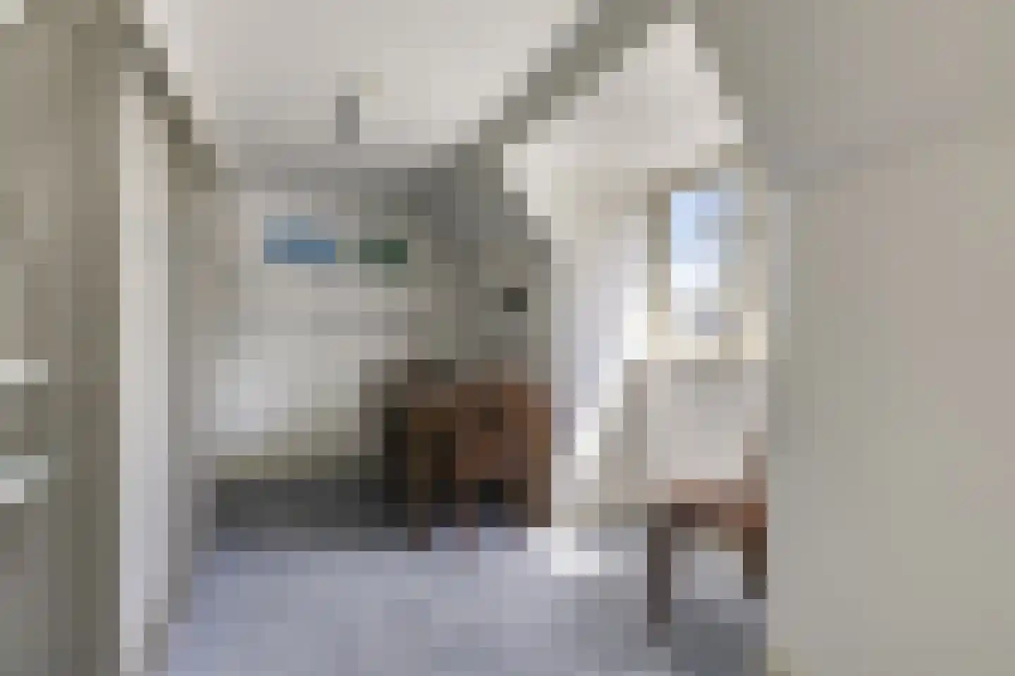 Arnhemsestraatweg 10 Velp thumbnail 60