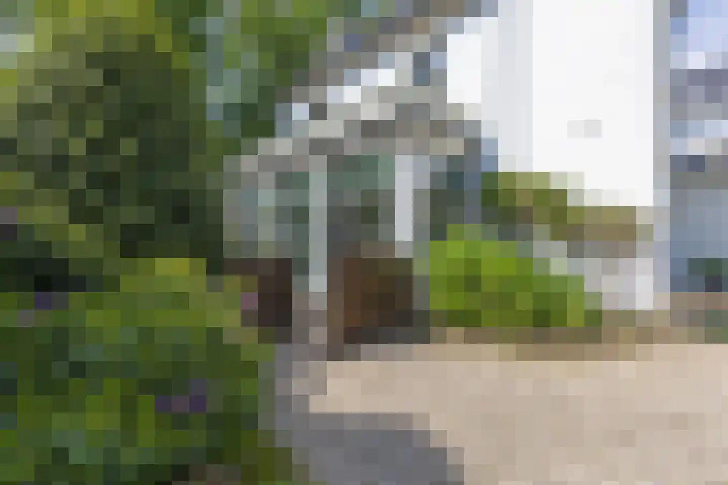 Arnhemsestraatweg 10 Velp thumbnail 63