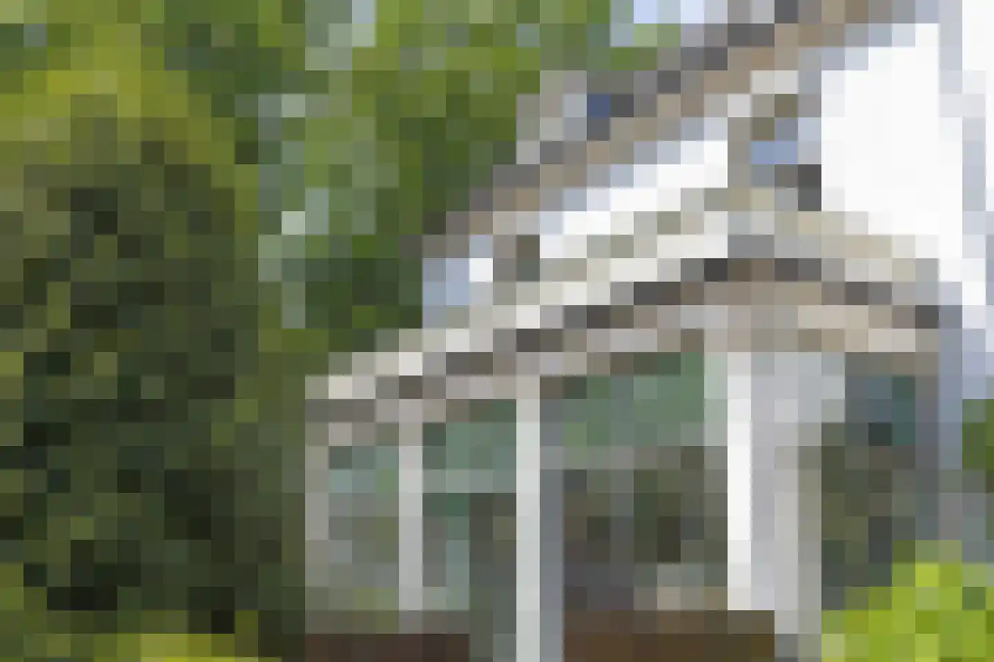 Arnhemsestraatweg 10 Velp thumbnail 64