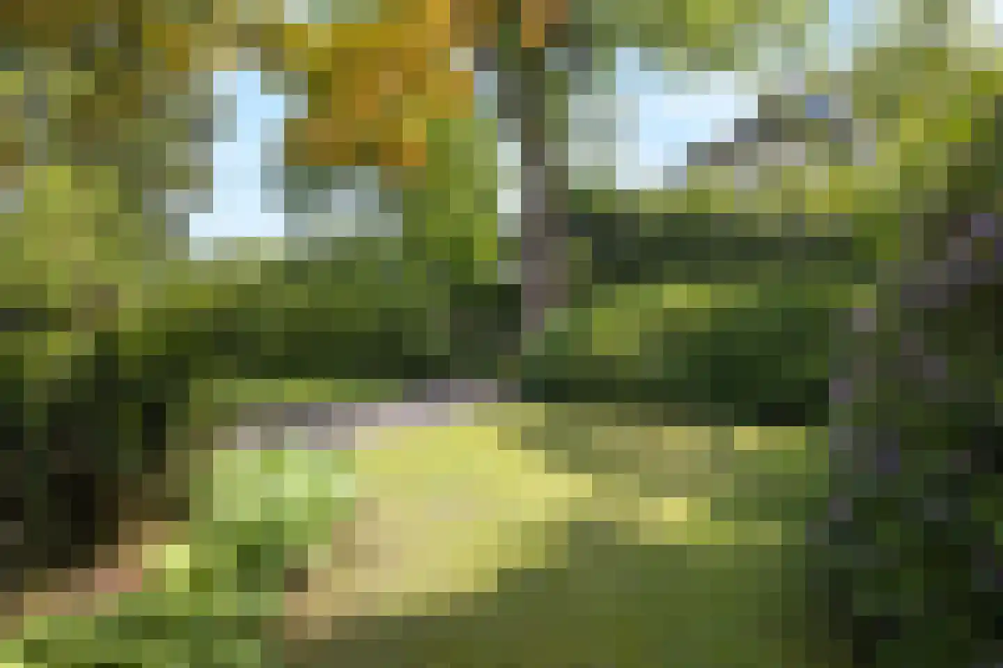 Arnhemsestraatweg 10 Velp thumbnail 65