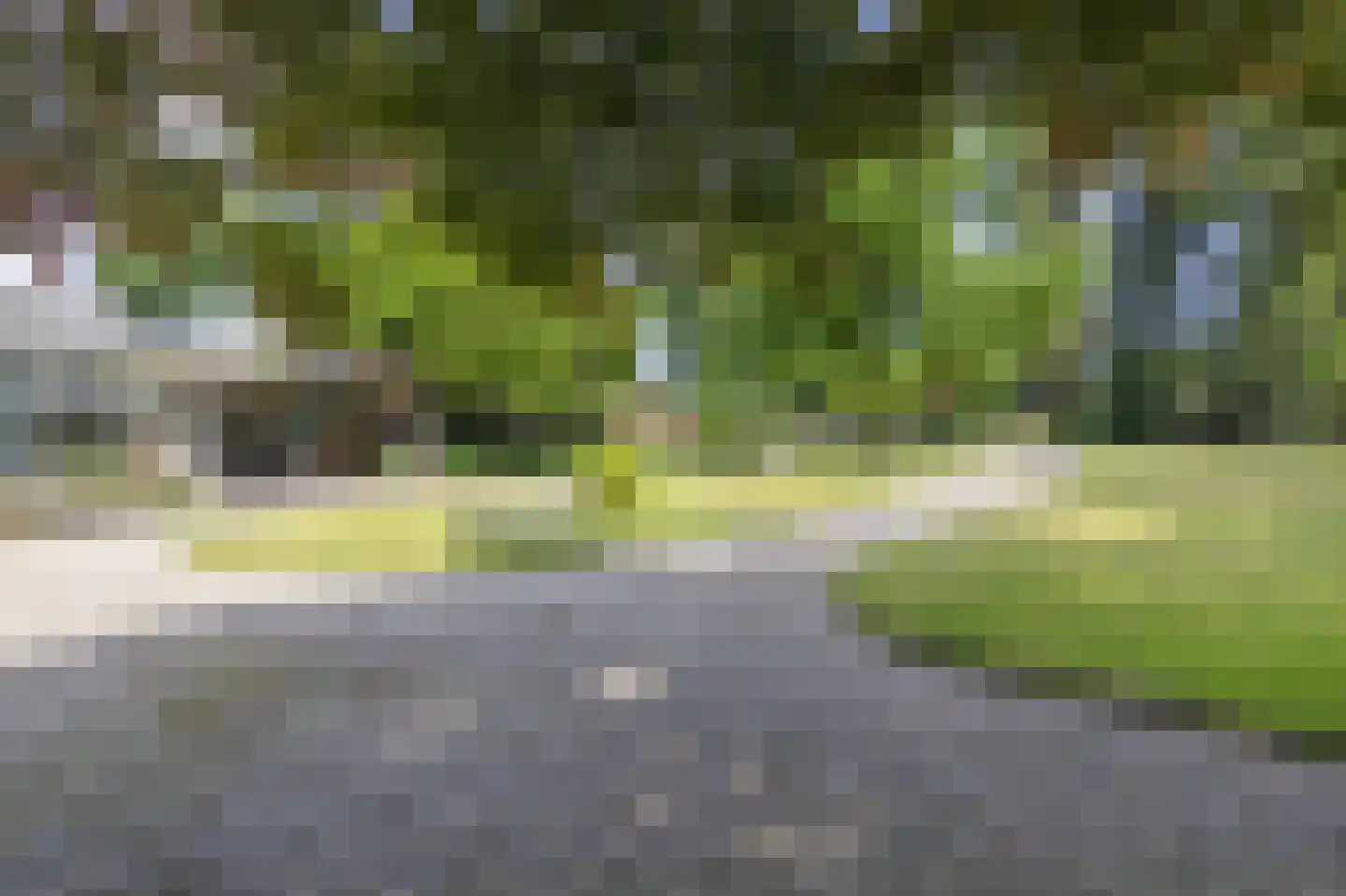 Arnhemsestraatweg 10 Velp thumbnail 68