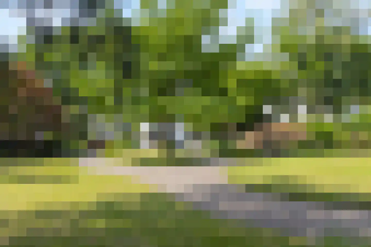 Arnhemsestraatweg 10 Velp thumbnail 7