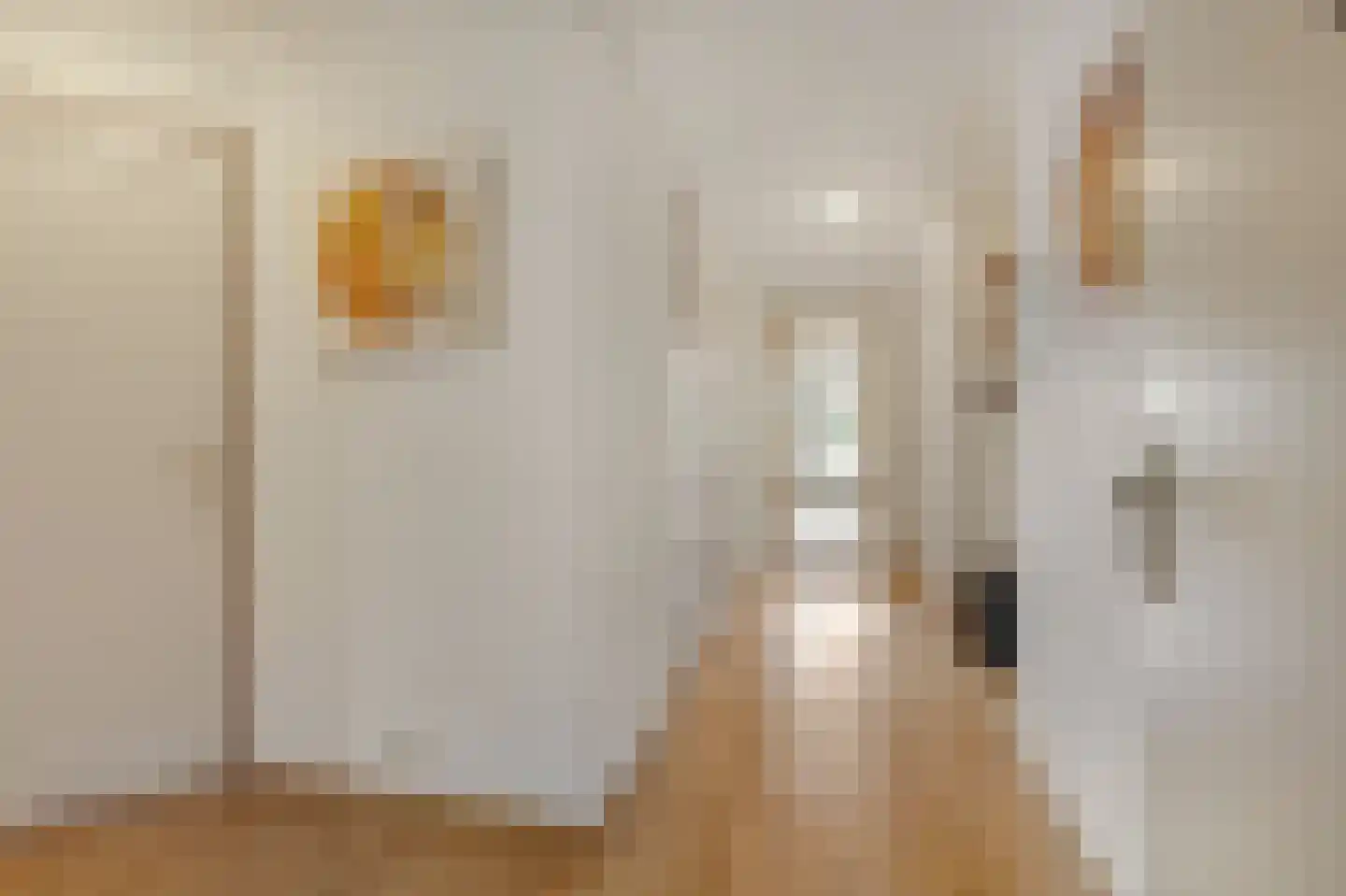 Arnhemsestraatweg 13 c Velp thumbnail 10