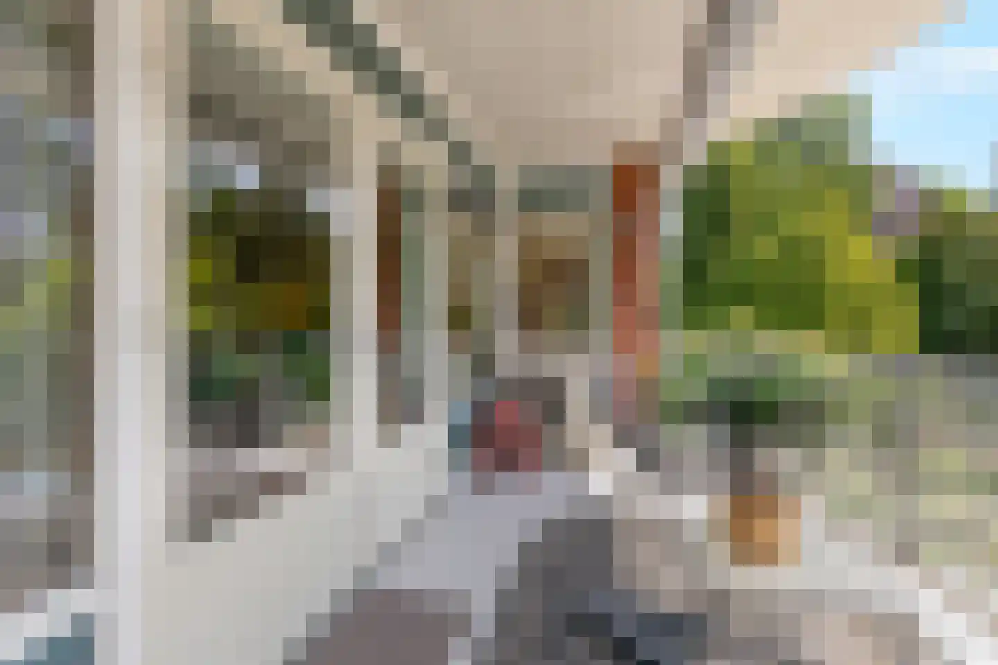 Arnhemsestraatweg 13 c Velp thumbnail 18