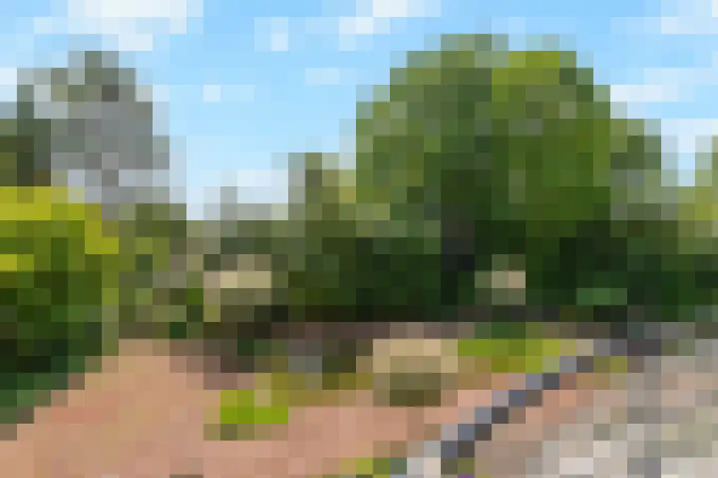 Arnhemsestraatweg 13 c Velp thumbnail 19