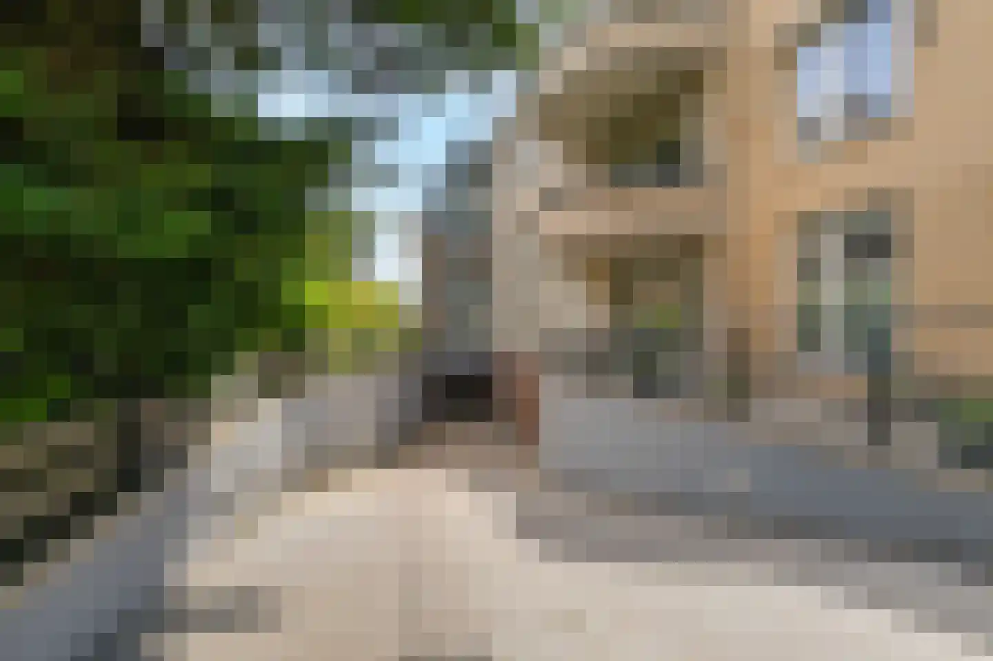 Arnhemsestraatweg 13 c Velp thumbnail 32