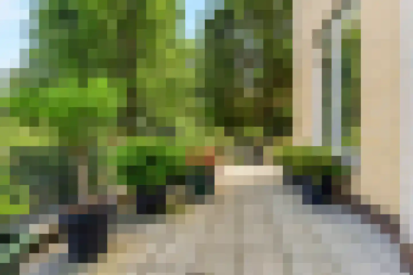 Arnhemsestraatweg 13 Velp thumbnail 22
