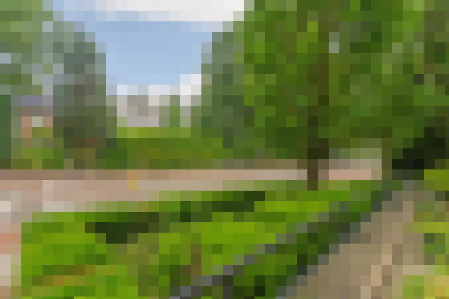 Arnhemsestraatweg 13 Velp thumbnail 24