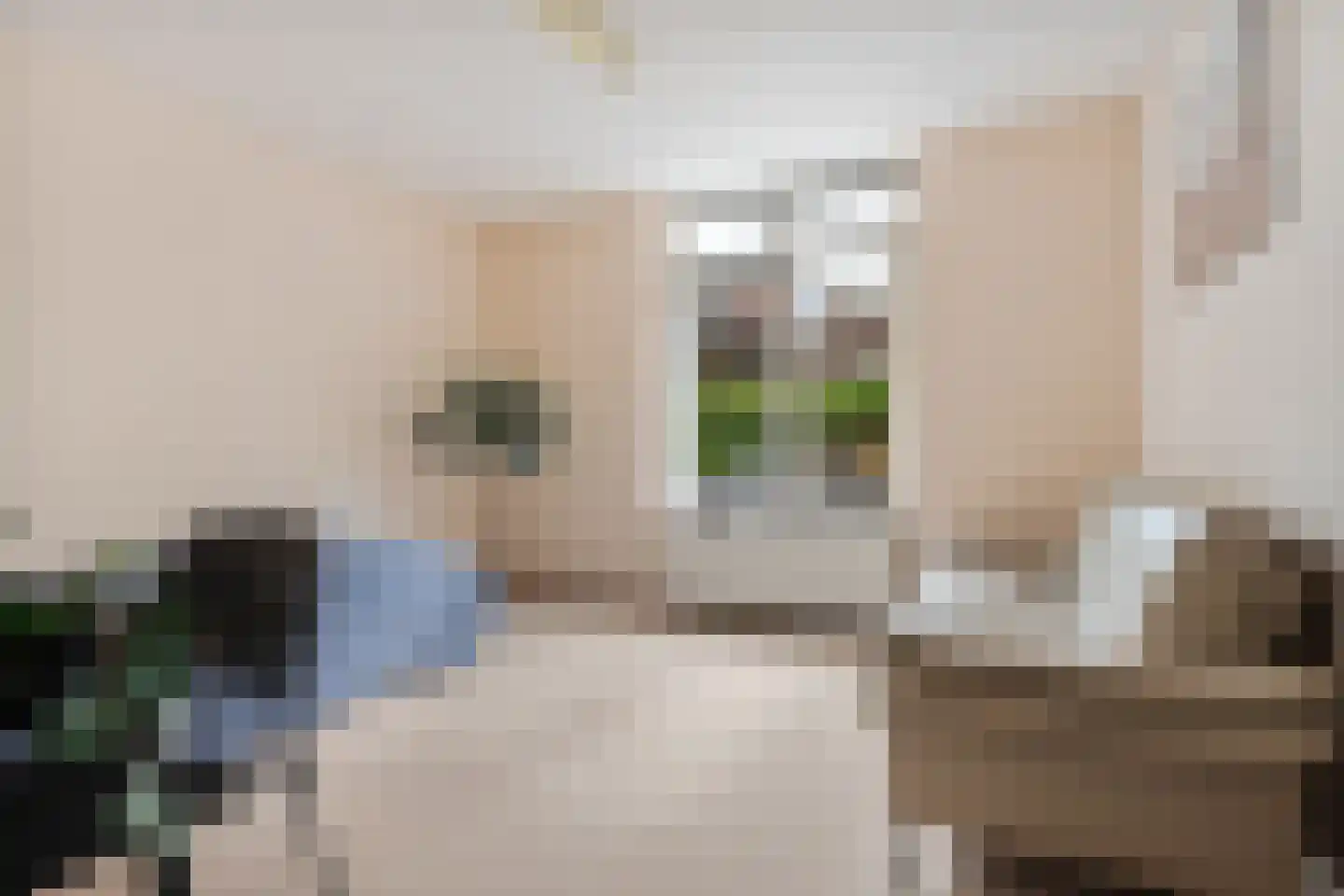 Arnhemsestraatweg 13 Velp thumbnail 29