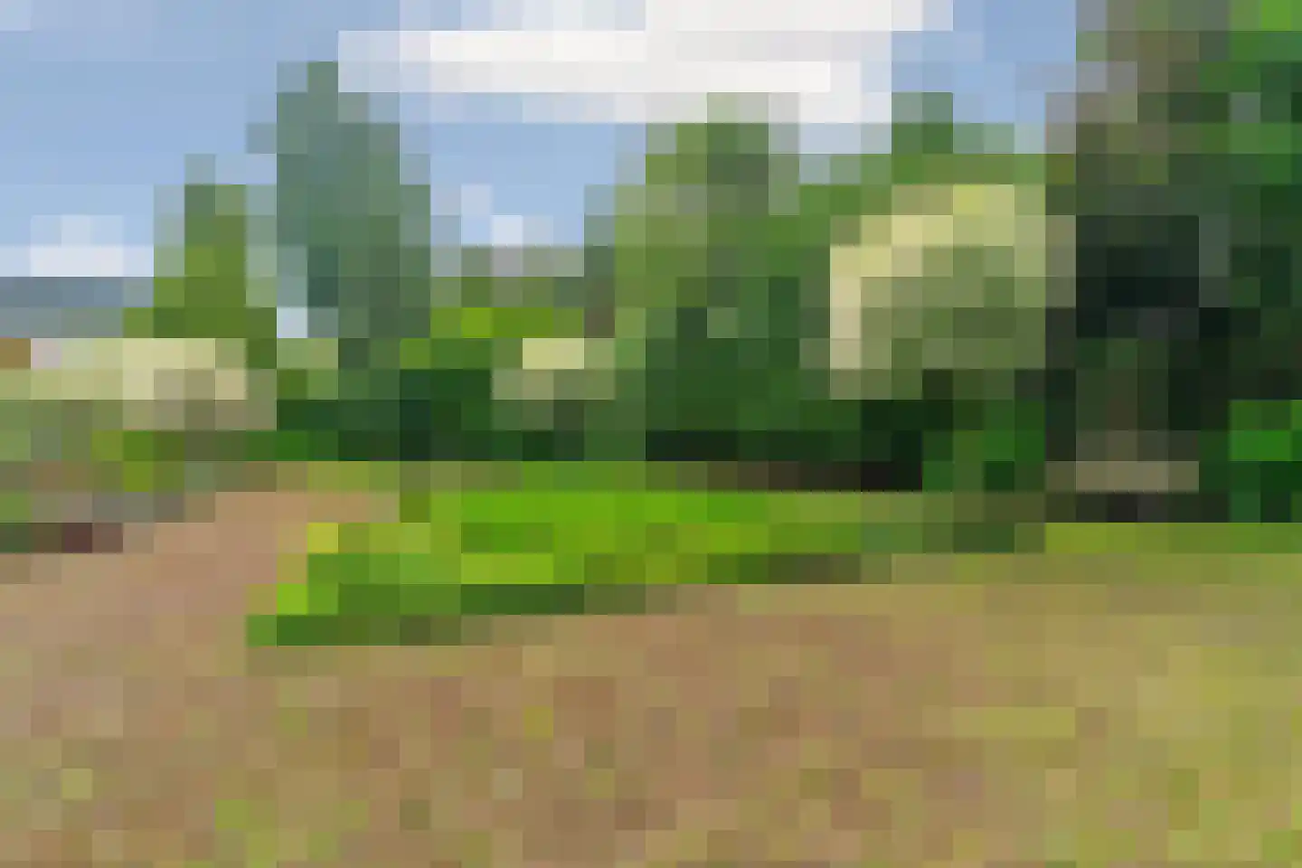 Arnhemsestraatweg 13 Velp thumbnail 34