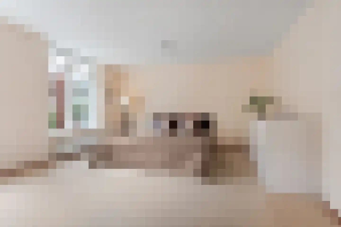 Arnhemsestraatweg 13 Velp thumbnail 4