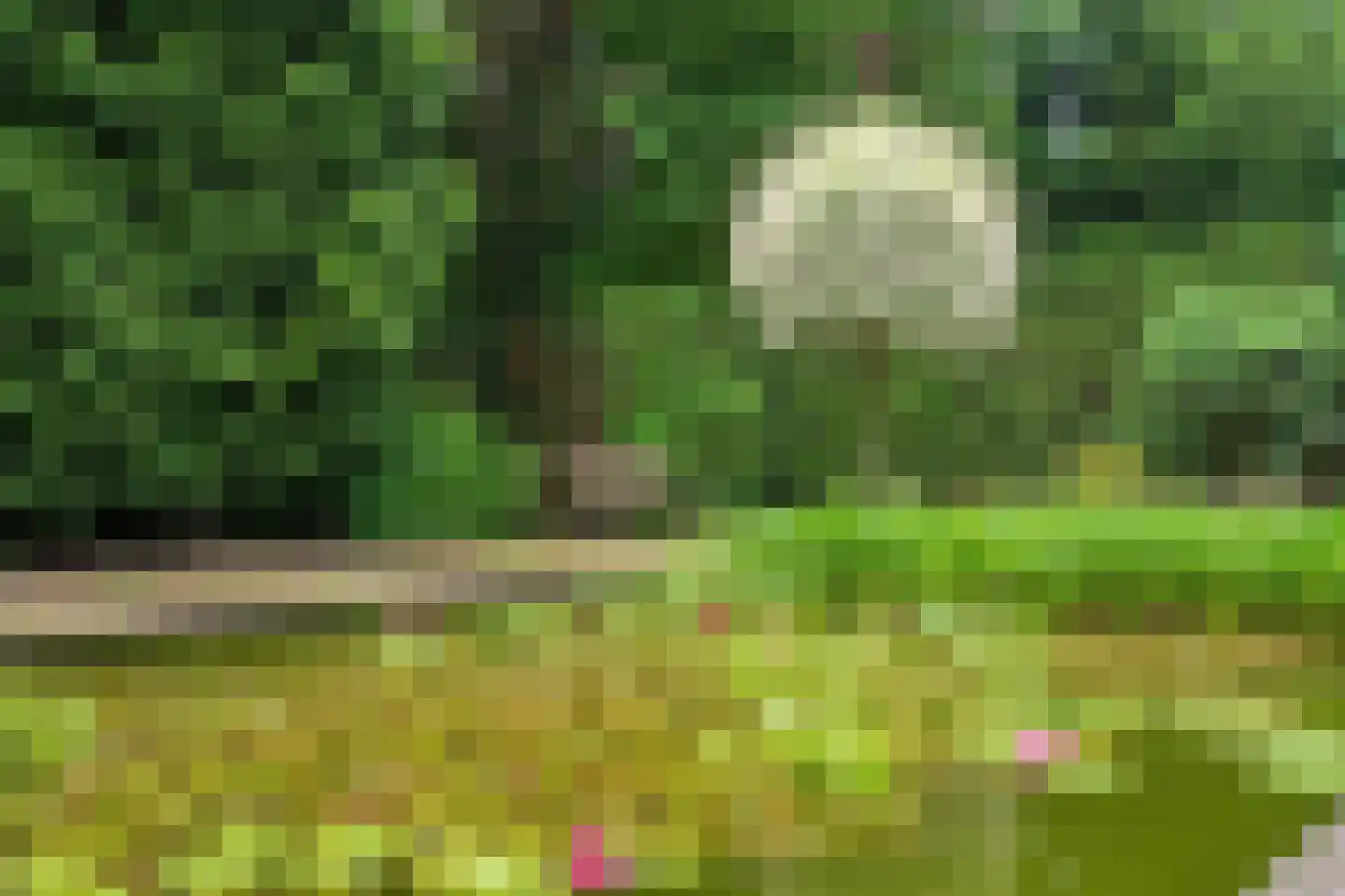 Arnhemsestraatweg 13 Velp thumbnail 5
