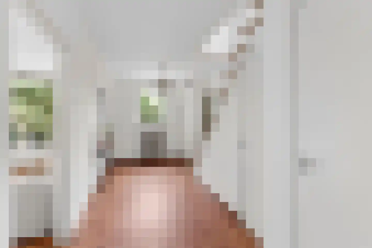 Arnhemsestraatweg 25 Velp thumbnail 13