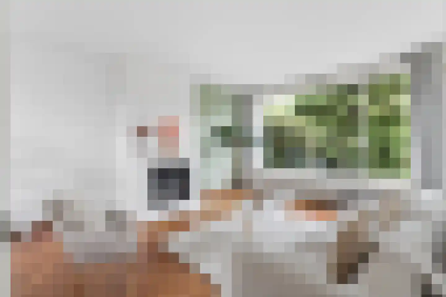 Arnhemsestraatweg 25 Velp thumbnail 15