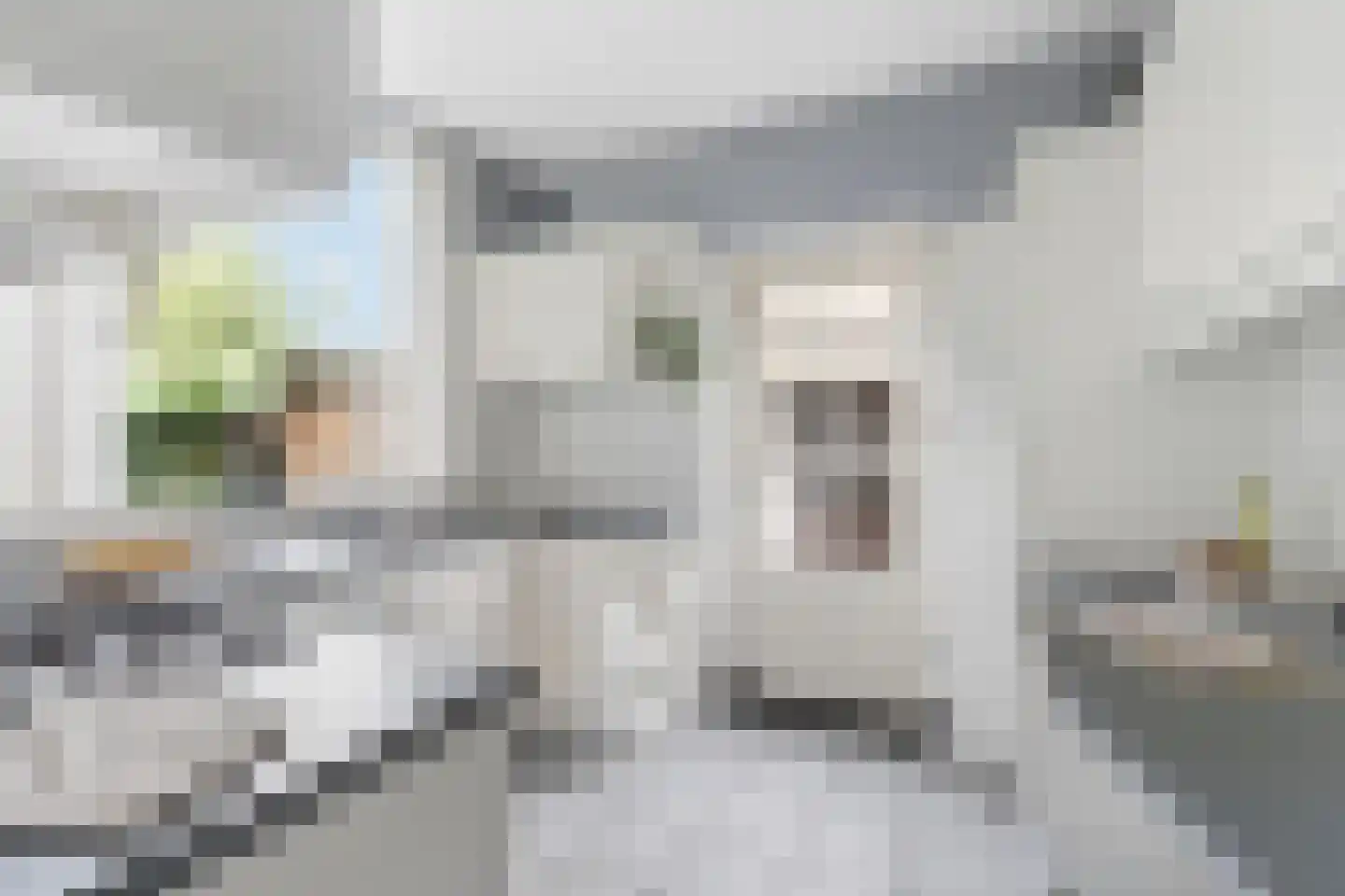 Arnhemsestraatweg 25 Velp thumbnail 26