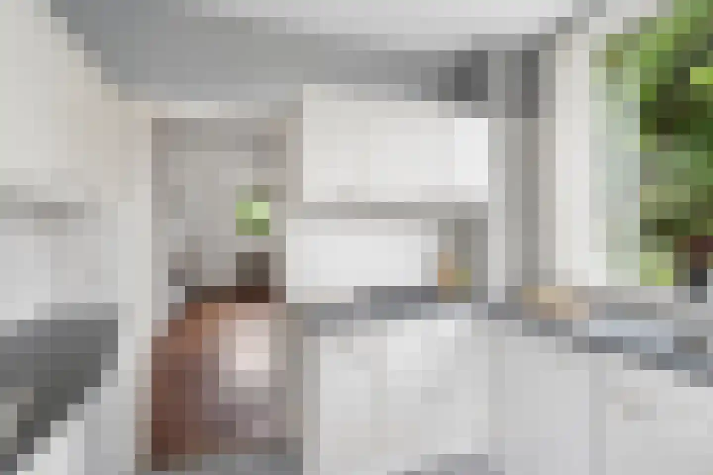 Arnhemsestraatweg 25 Velp thumbnail 27