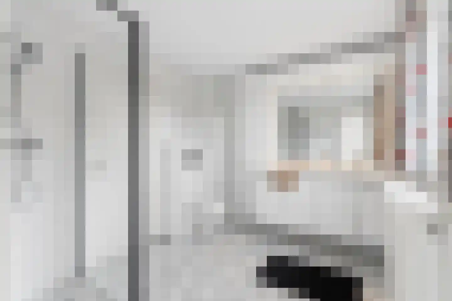 Arnhemsestraatweg 25 Velp thumbnail 29