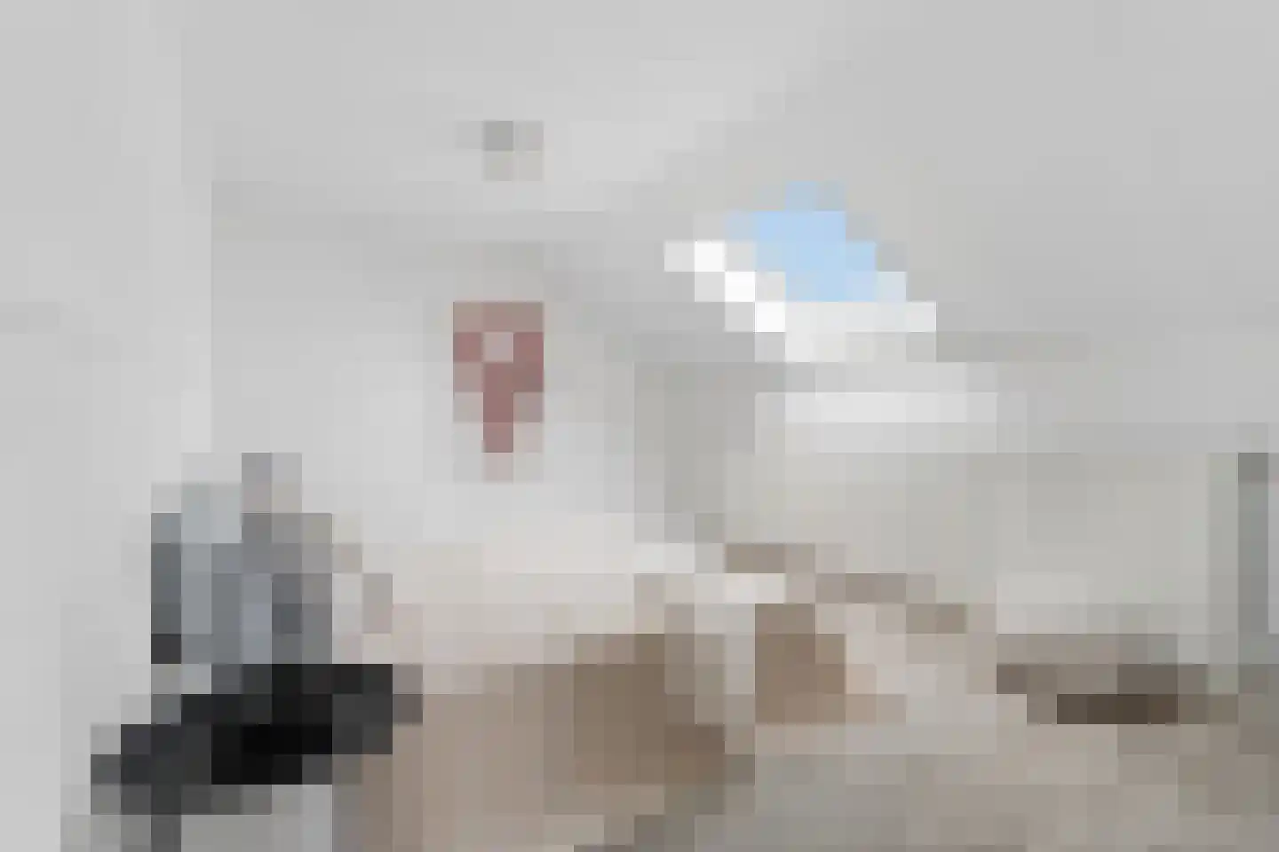 Arnhemsestraatweg 25 Velp thumbnail 41