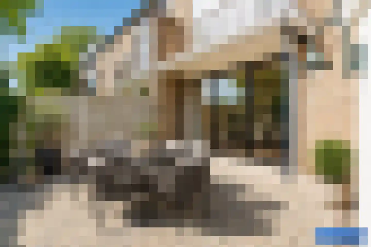 Arnhemsestraatweg 25 Velp thumbnail 49