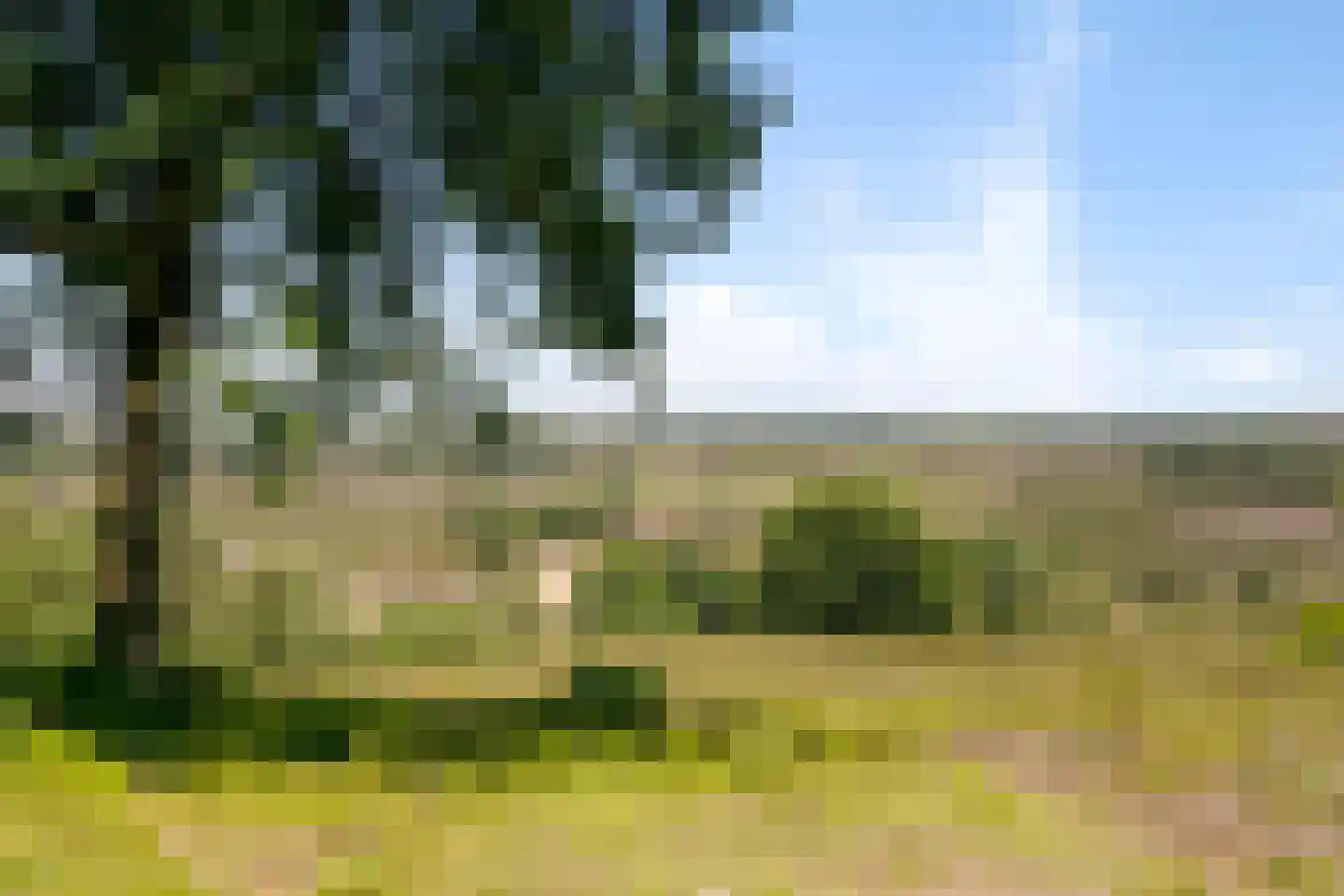 Arnhemsestraatweg 25 Velp thumbnail 56