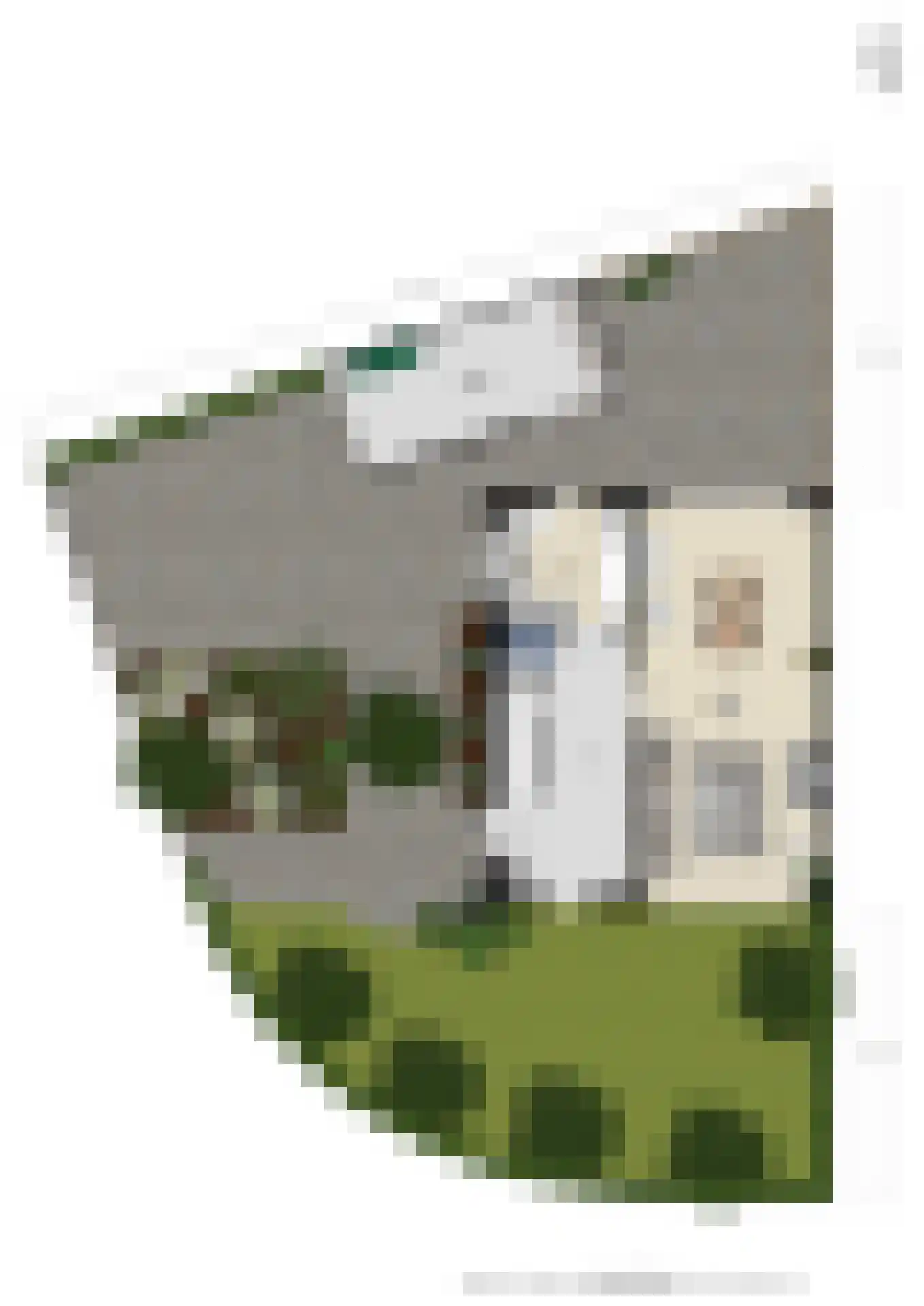 Arnhemsestraatweg 25 Velp thumbnail 57