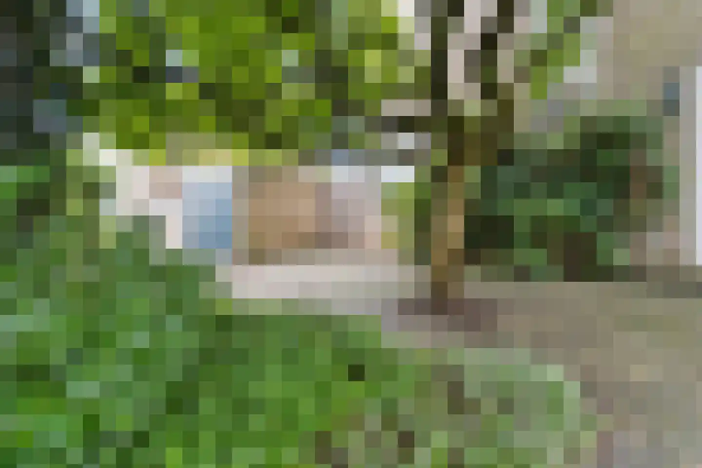 Arnhemsestraatweg 25 Velp thumbnail 8