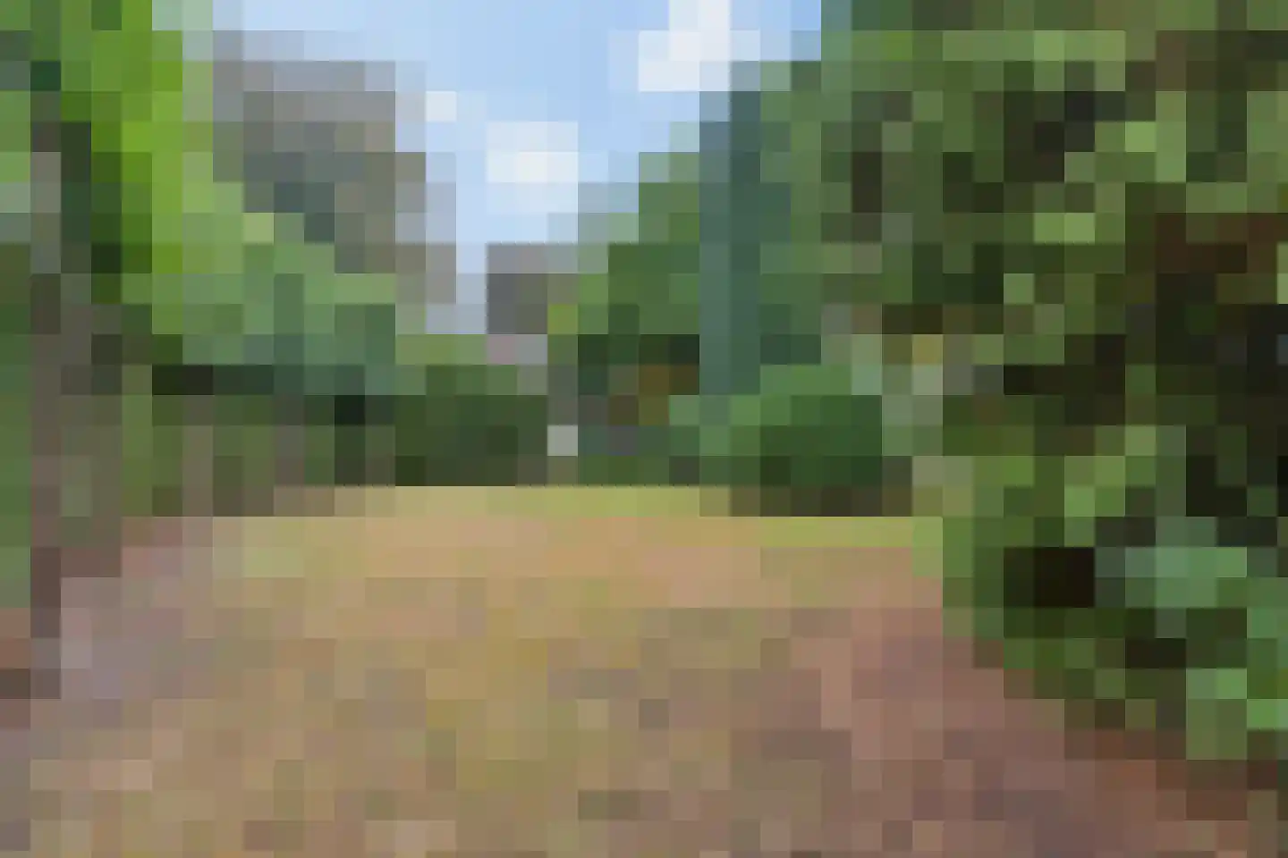 Arnhemsestraatweg 25 Velp thumbnail 9