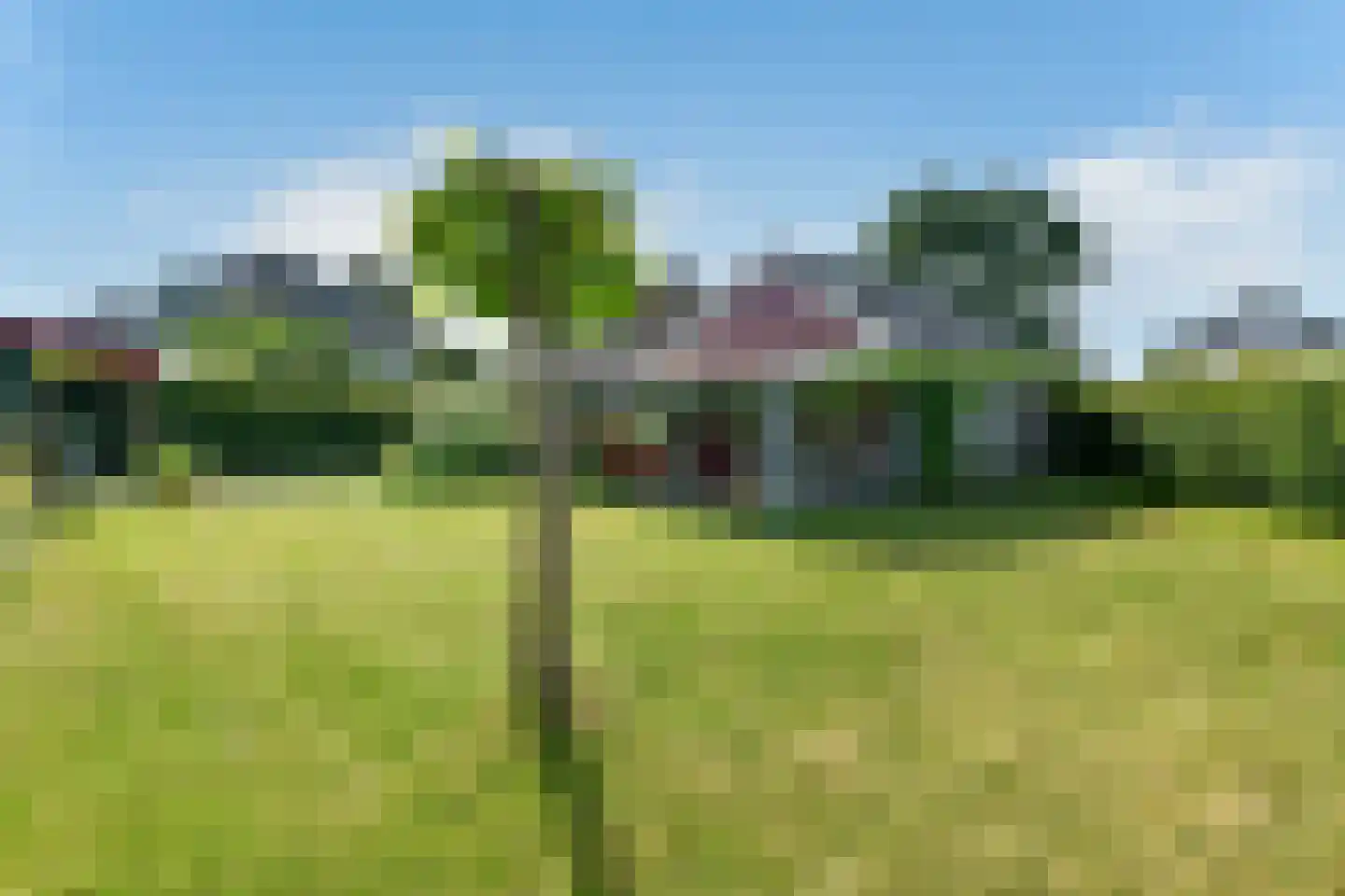 Arnhemsestraatweg 38 Rheden thumbnail 12