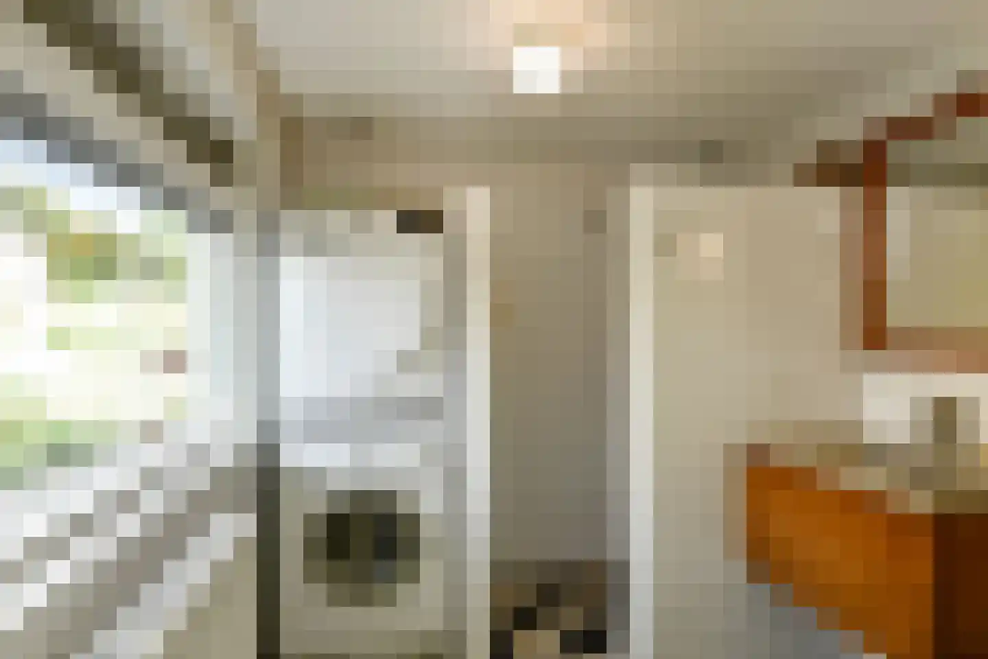 Arnhemsestraatweg 38 Rheden thumbnail 35