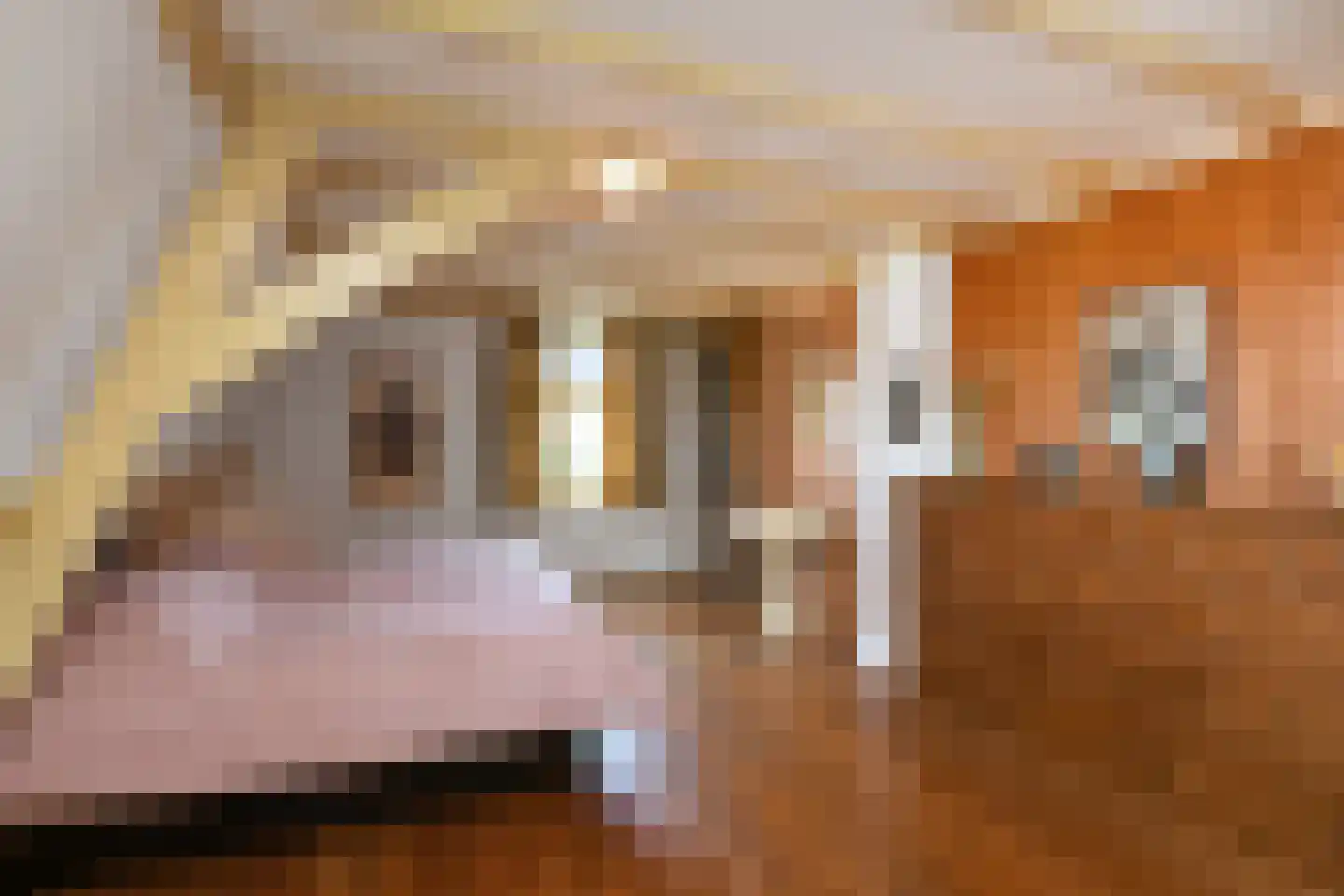 Arnhemsestraatweg 38 Rheden thumbnail 39