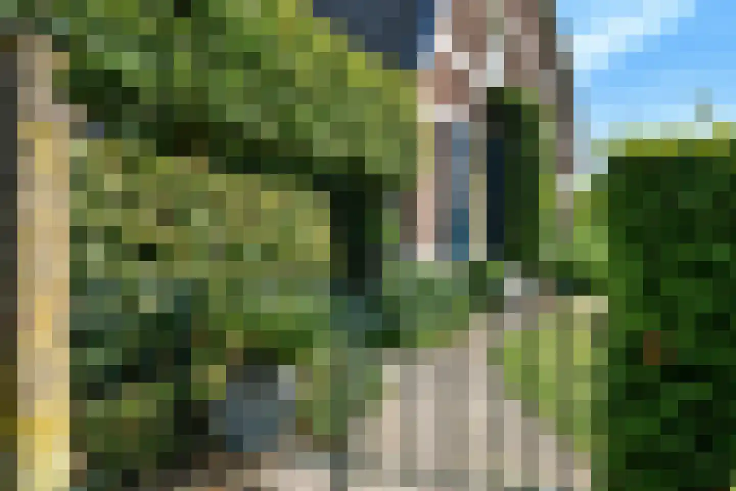 Arnhemsestraatweg 38 Rheden thumbnail 4