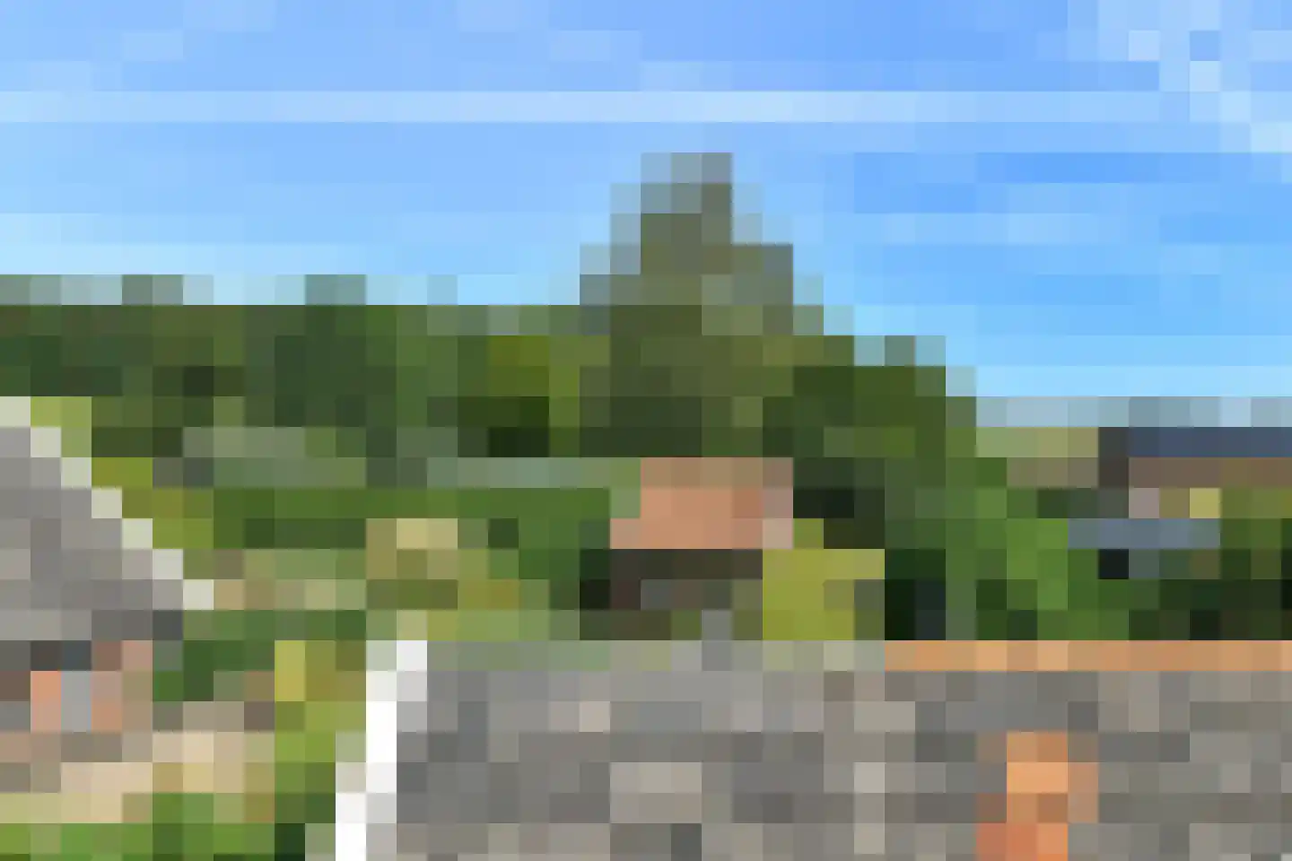 Arnhemsestraatweg 38 Rheden thumbnail 55