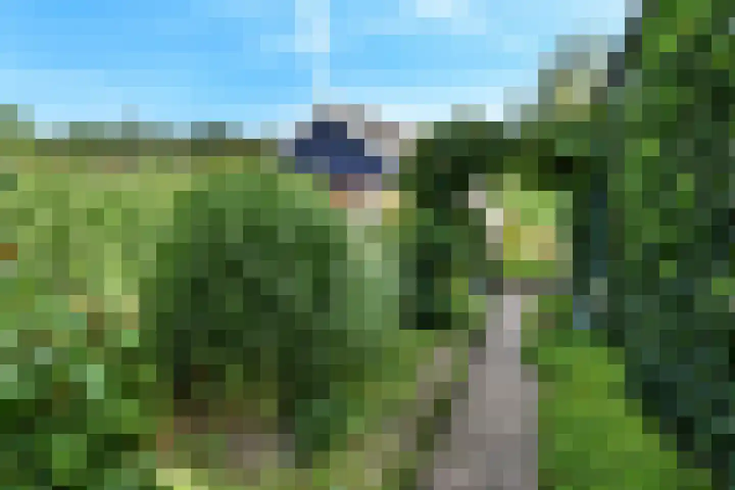 Arnhemsestraatweg 38 Rheden thumbnail 6