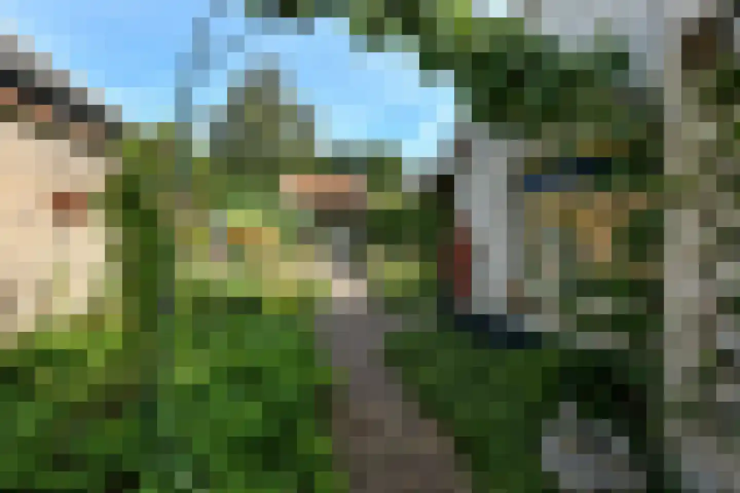 Arnhemsestraatweg 38 Rheden thumbnail 7