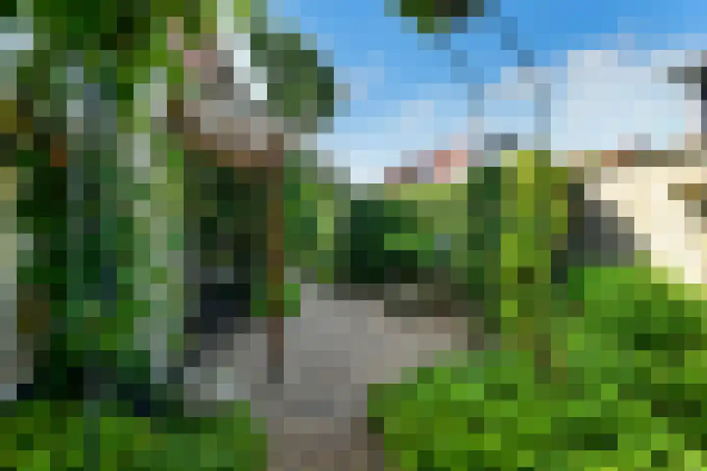 Arnhemsestraatweg 38 Rheden thumbnail 9