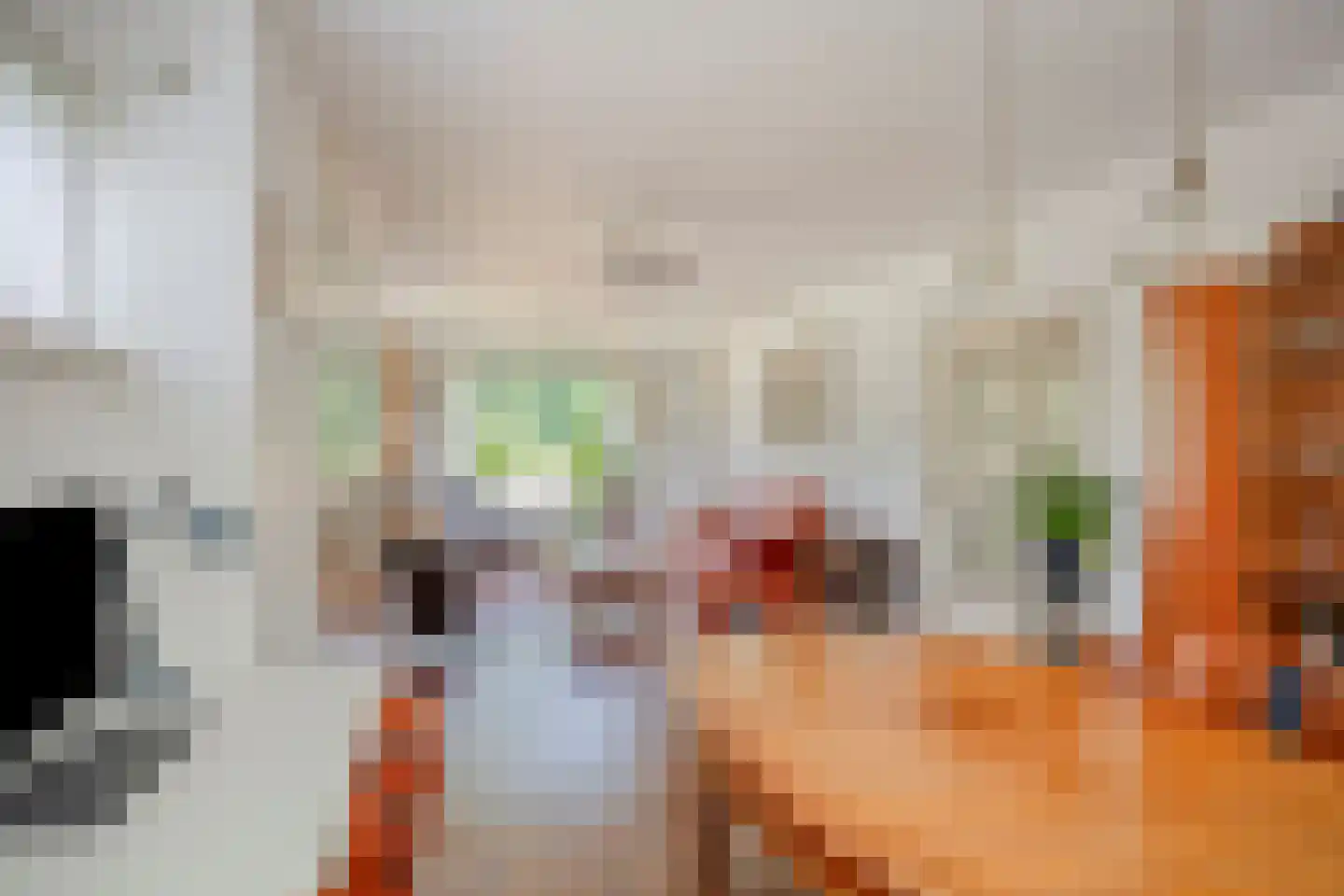 Arnhemsestraatweg 47 Velp thumbnail 15