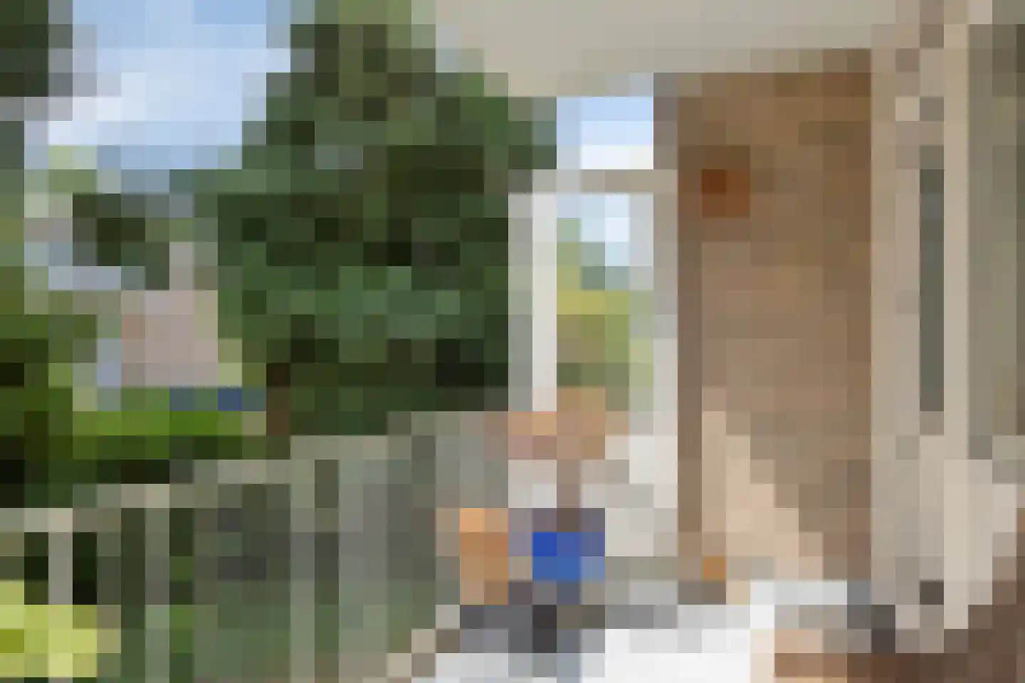 Arnhemsestraatweg 47 Velp thumbnail 17