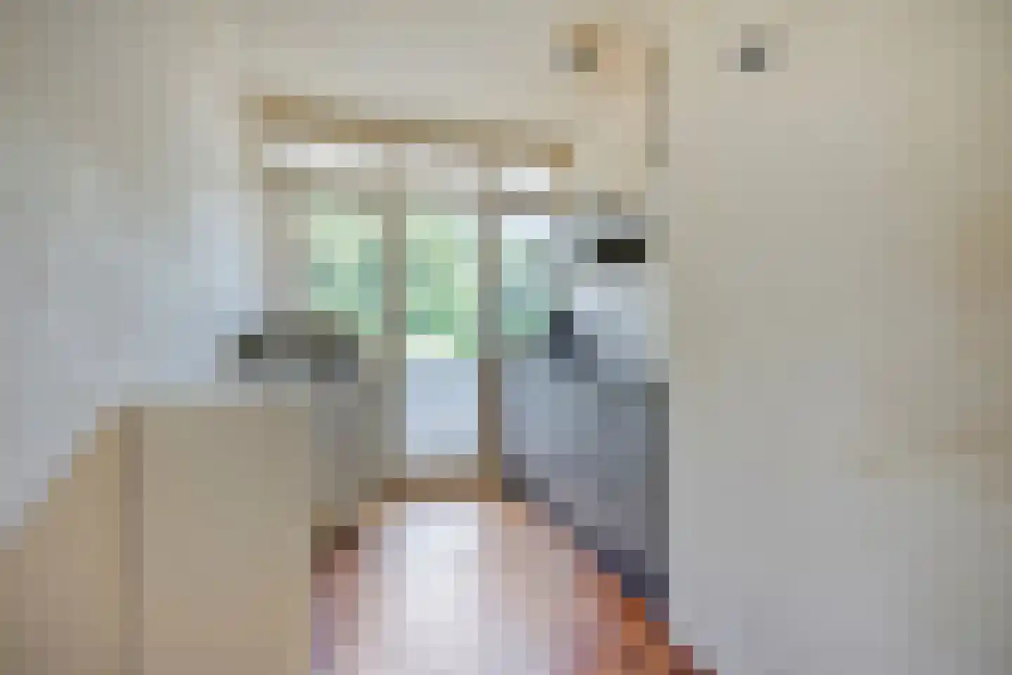 Arnhemsestraatweg 47 Velp thumbnail 18