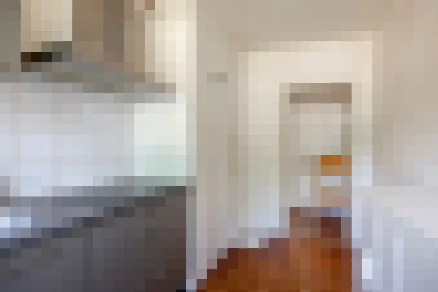 Arnhemsestraatweg 47 Velp thumbnail 20