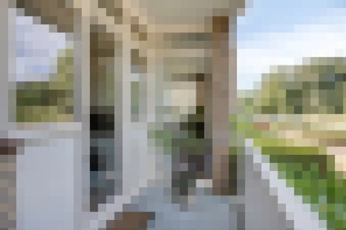Arnhemsestraatweg 47 Velp thumbnail 22