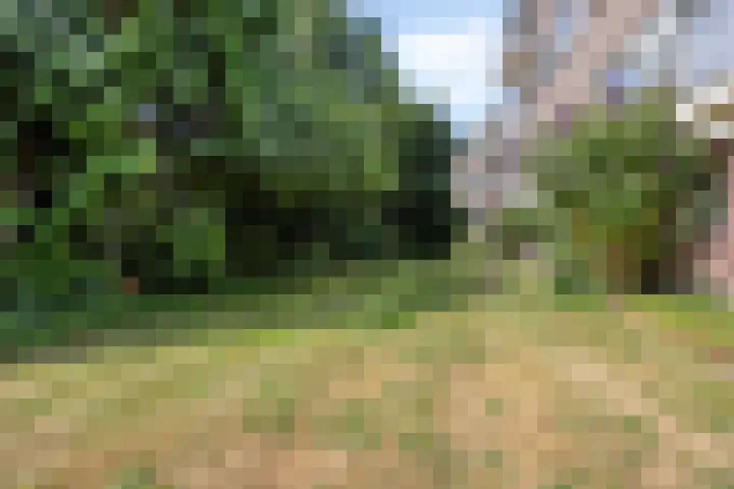 Arnhemsestraatweg 47 Velp thumbnail 32