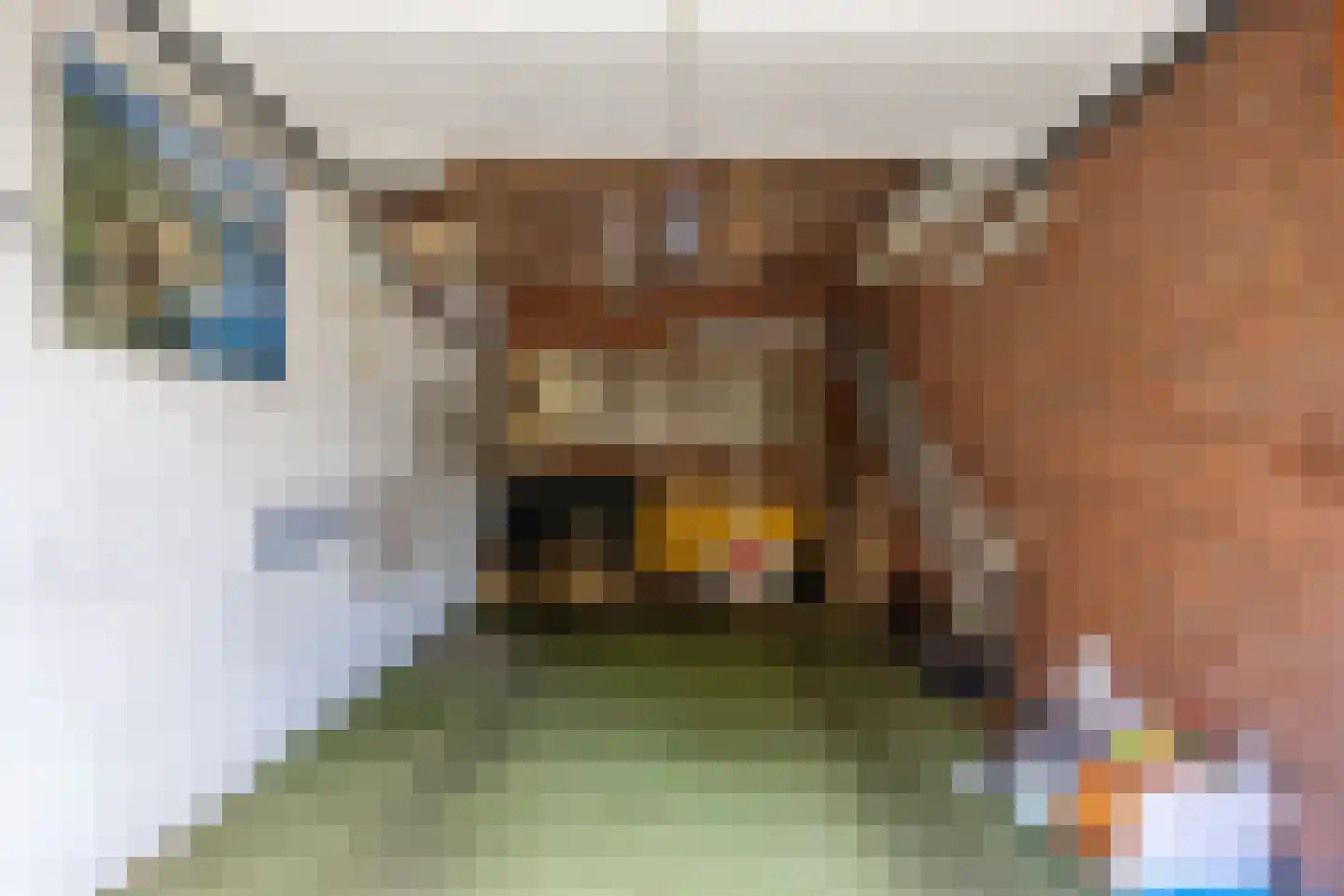 Arnhemsestraatweg 47 Velp thumbnail 33
