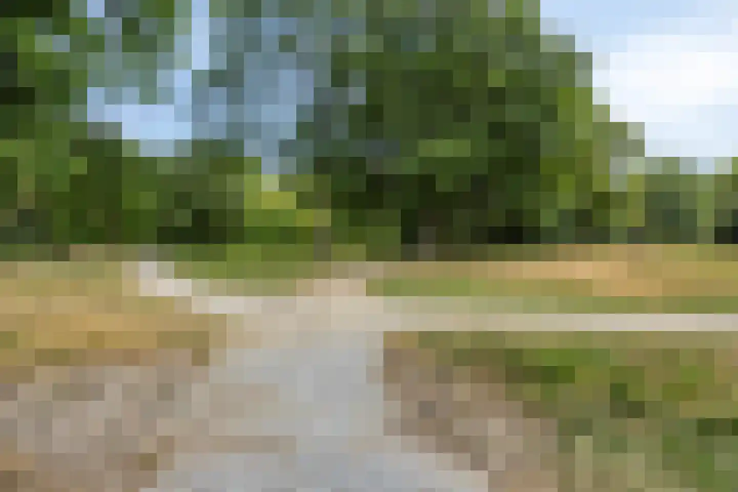 Arnhemsestraatweg 47 Velp thumbnail 35